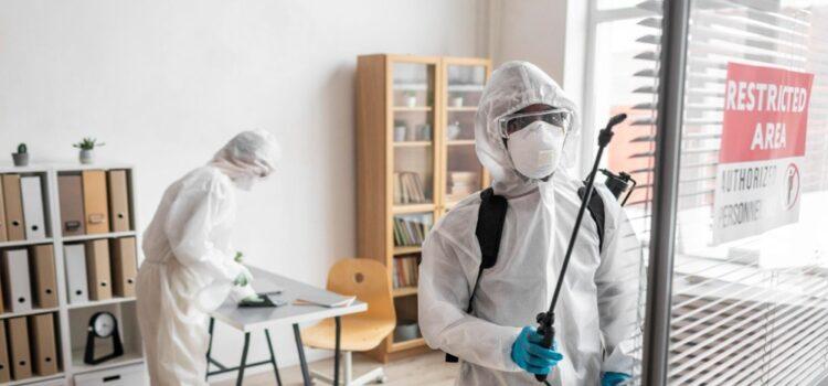 How Do I Choose the Right Pest Control Service in Melbourne